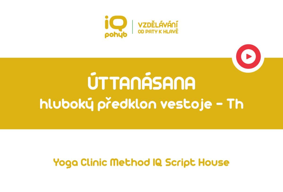 Yoga Clinic Method - Úttanásana - hluboký předklon vestoje − protažení Th
