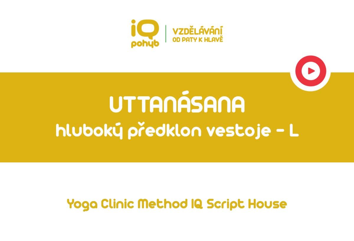 Yoga Clinic Method - Uttanásana - hluboký předklon vestoje − protažení L