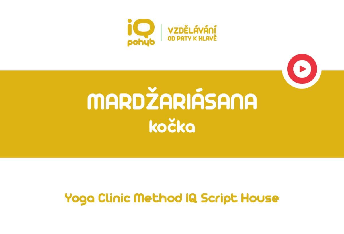 Yoga Clinic Method - Mardžariásana - kočka 