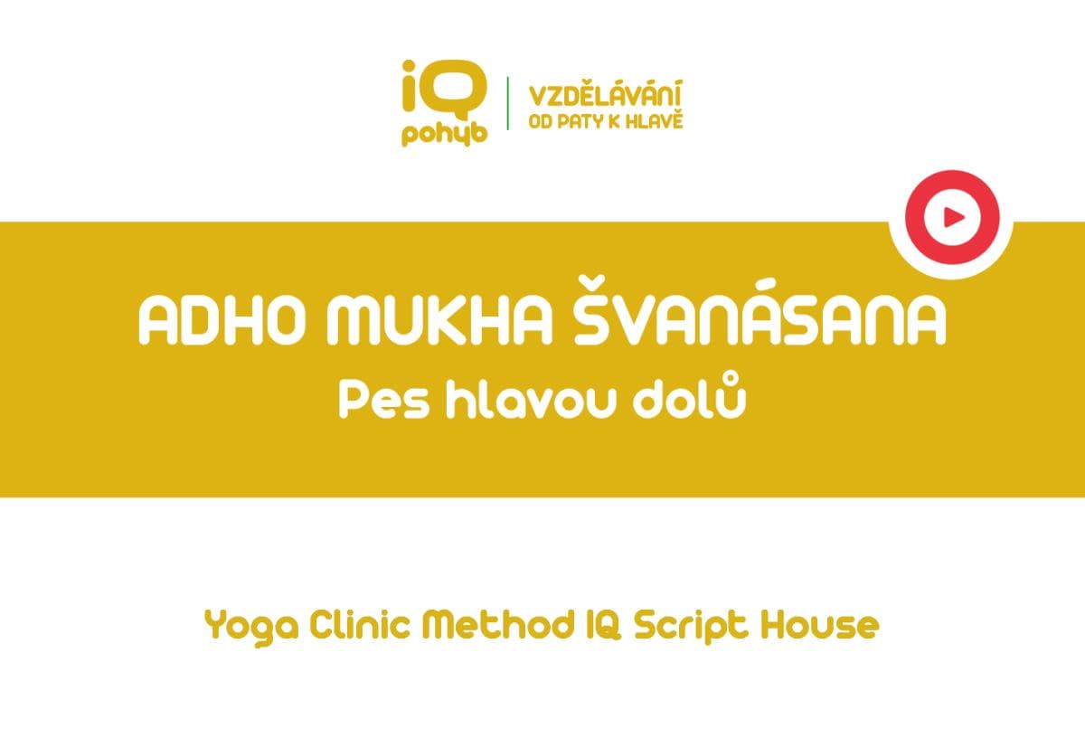 Yoga Clinic Method - Adho Mukha Švanásana - pes hlavou dolů