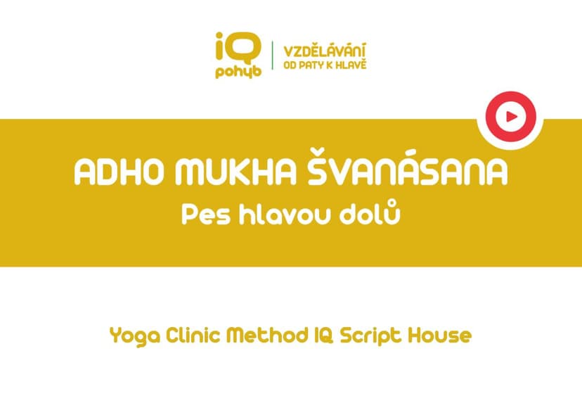 Yoga Clinic Method - Adho Mukha Švanásana - pes hlavou dolů