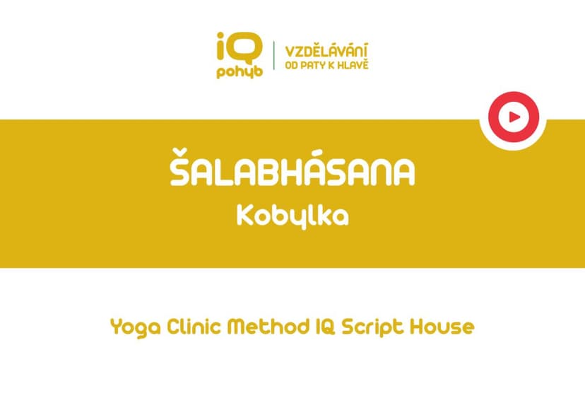 Yoga Clinic Method - Šalabhásana - kobylka