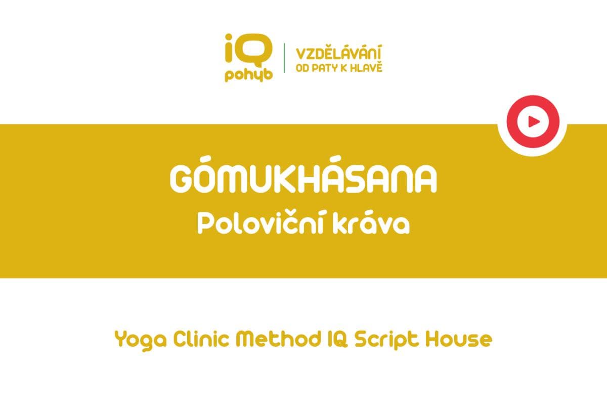 Yoga Clinic Method - Gómukhásana - poloviční kráva