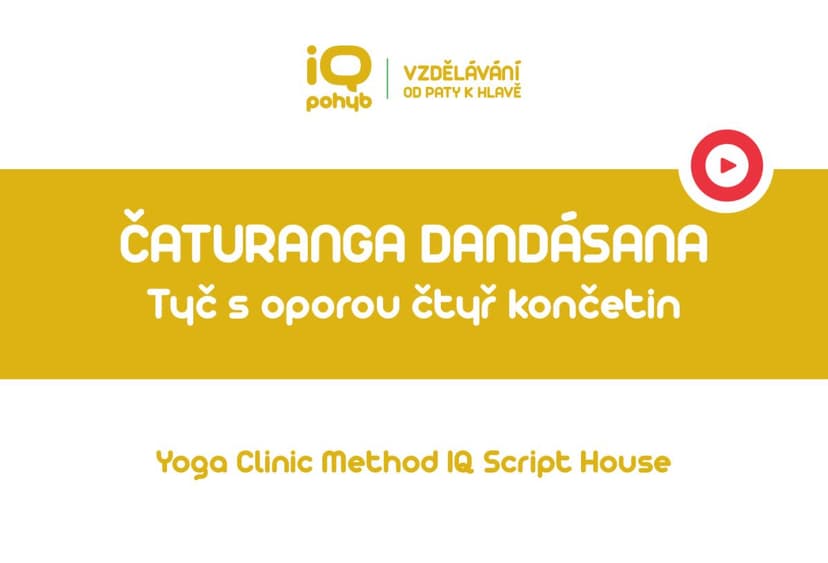 Yoga Clinic Method - Čaturanga Dandásana - tyč s oporou čtyř končetin 