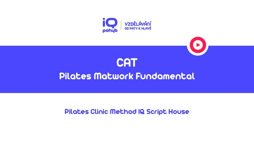 Pilates Clinic Method - Matwork - Cat