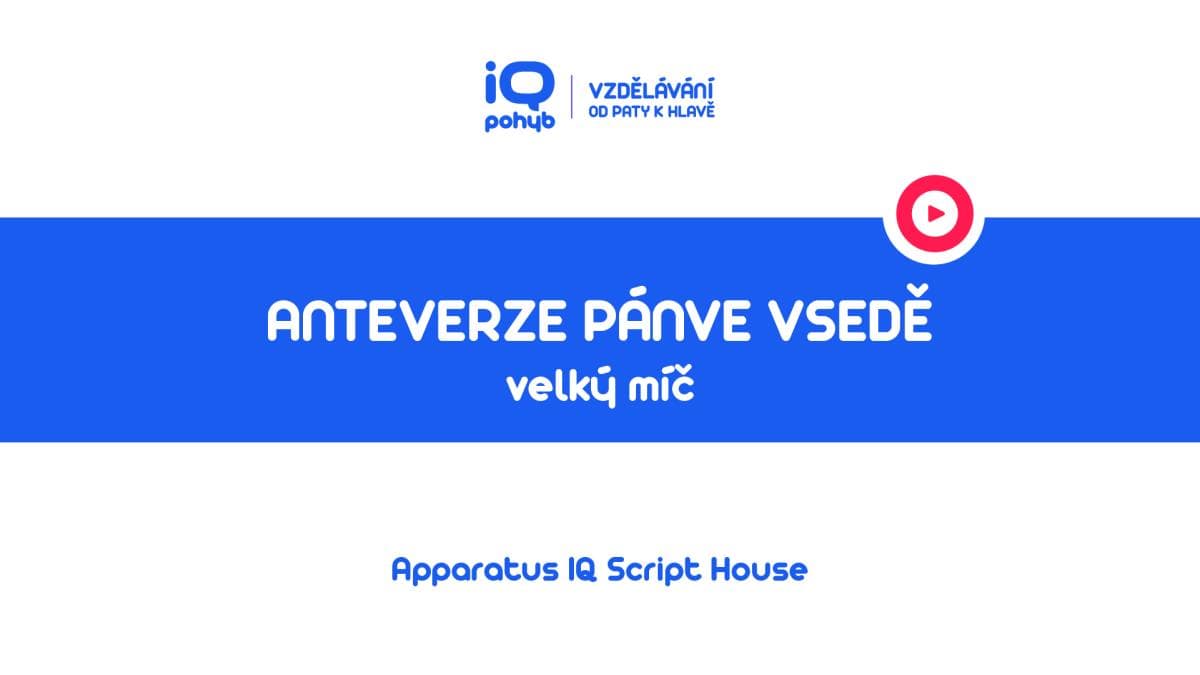 Velké a malé míče - Anteverze pánve vsedě na VM