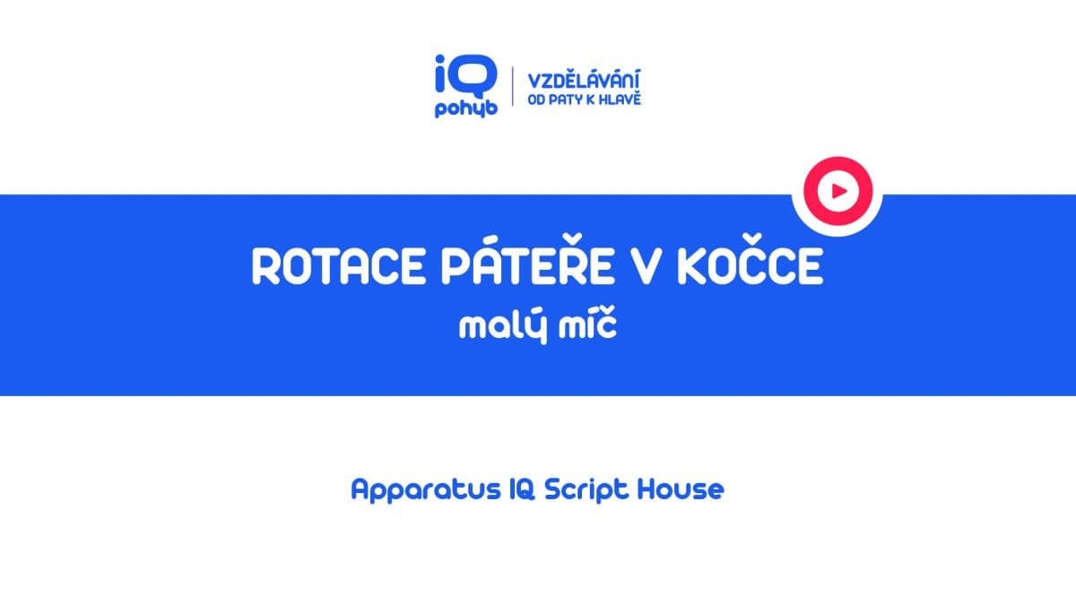 Velké a malé míče - Rotace páteře v kočce s pomocí MMv pod rukou