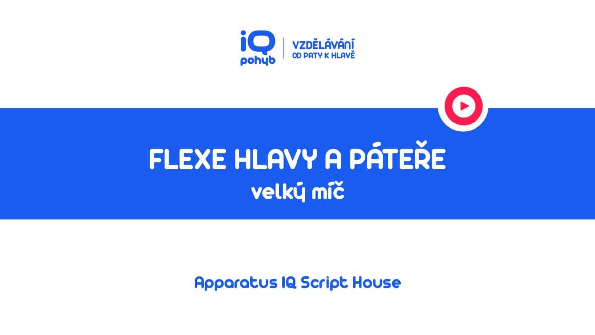 Velké a malé míče - Flexe hlavy a páteře vsedě s oporou horních končetin o VM