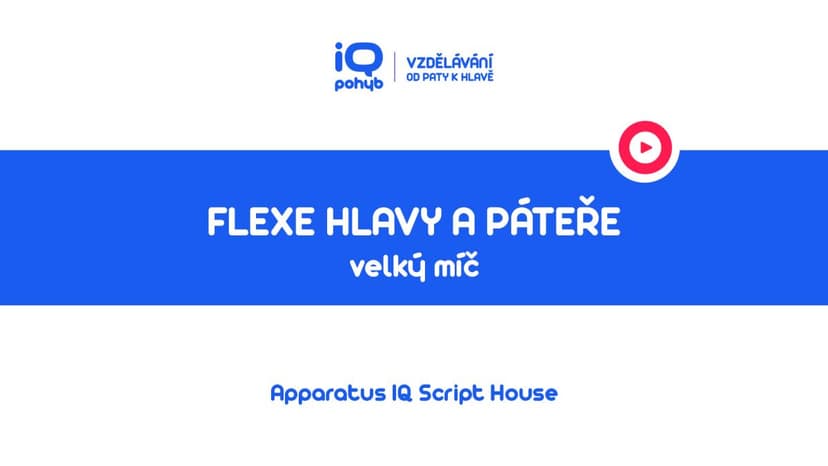Velké a malé míče - Flexe hlavy a páteře vsedě s oporou horních končetin o VM