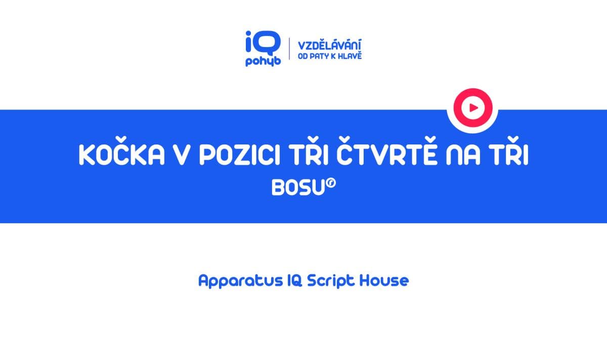 Bosu - Kočka v pozici tři čtvrtě na tři na kopuli