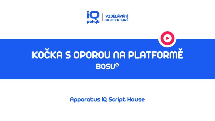 Bosu - Kočka s oporou horních končetin na platformě