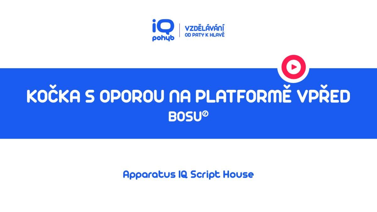 Bosu - Kočka s oporou horních končetin na platformě s naklopením vpřed