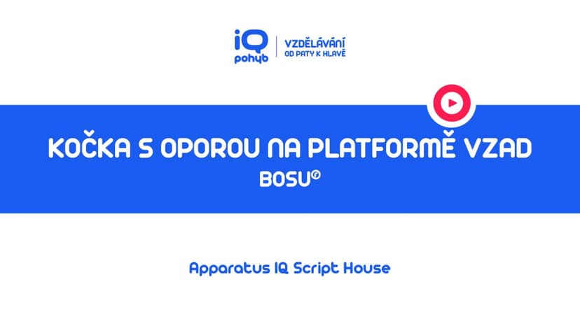 Bosu - Kočka s oporou horních končetin na platformě s naklopením vzad