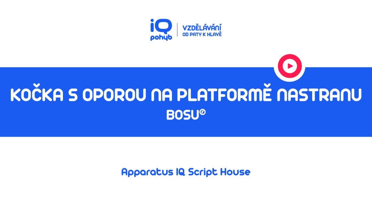 Bosu - Kočka s oporou horních končetin na platformě s naklopením do strany