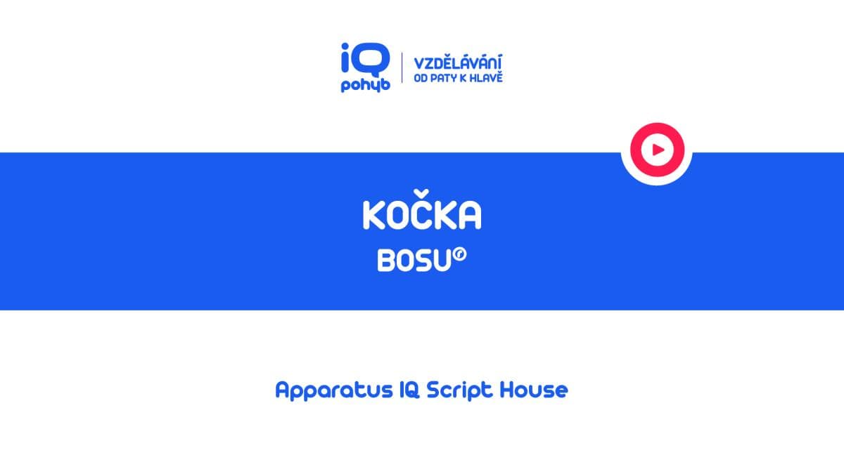 Bosu - Kočka na kopuli