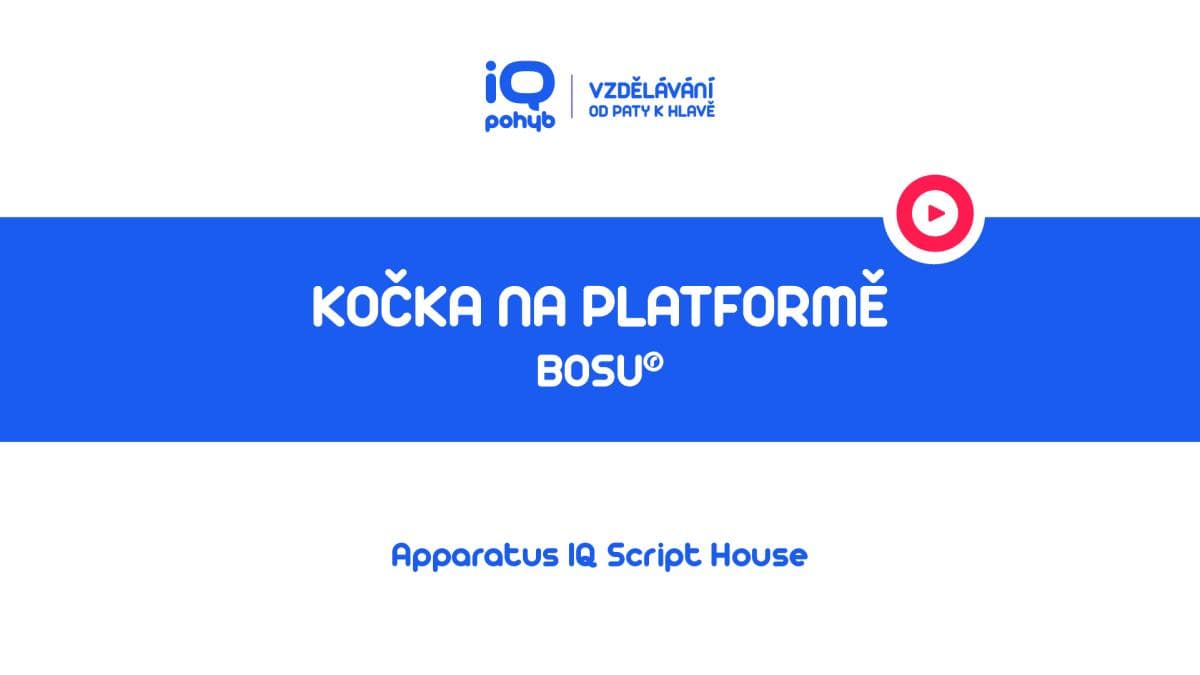 Bosu - Kočka na platformě