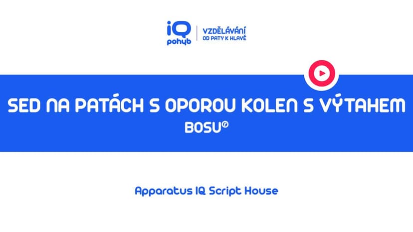 Bosu - Sed na patách s oporou kolenních kloubů o kopuli se zdvihem těla – výtah