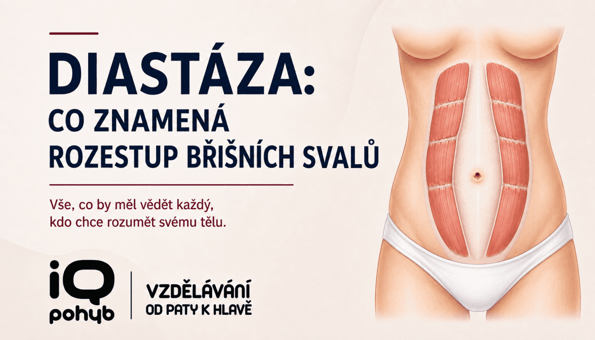 Diastáza břišní stěny: co znamená rozestup břišních svalů