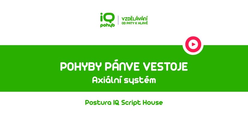 Postura - Axiální systém - Pohyby pánve vestoje