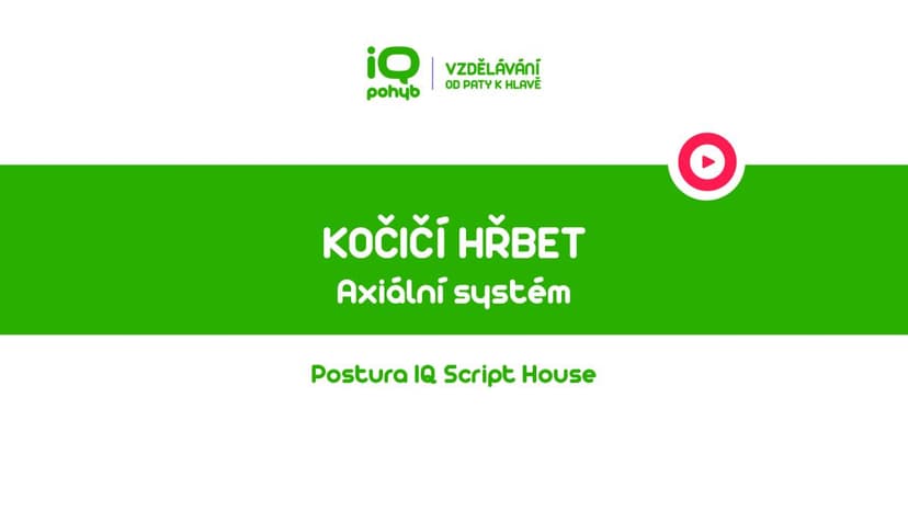  Postura - Axiální systém - Vzpor klečmo s flexí páteře - kočičí hřeb