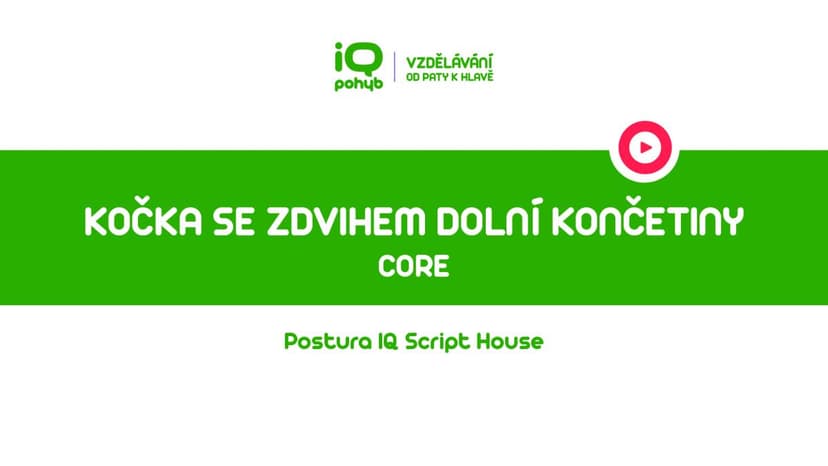 CORE - Kočka se zdvihem dolní končetiny 