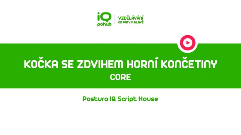 CORE - Kočka se zdvihem horní končetiny