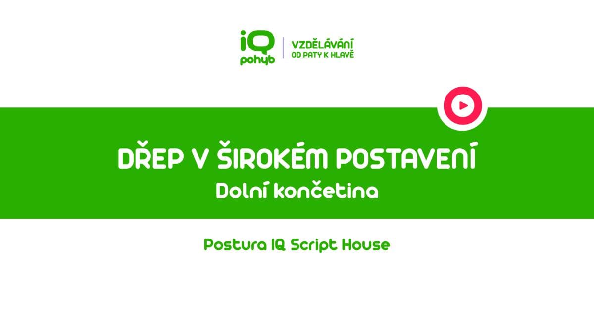 Postura - Dolní končetina - Dřep v širokém postavení dolních končetin