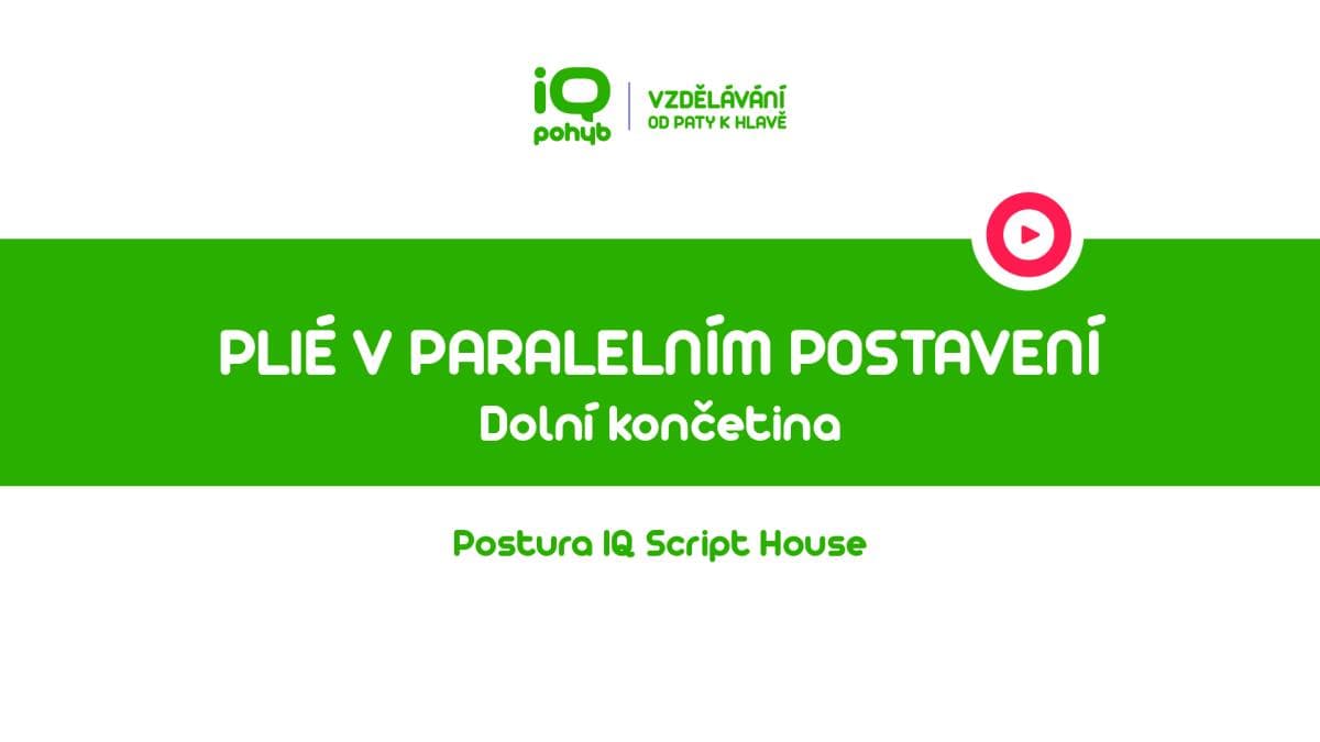Postura - Dolní končetina - Plié v paralelním postavení dolních končetin