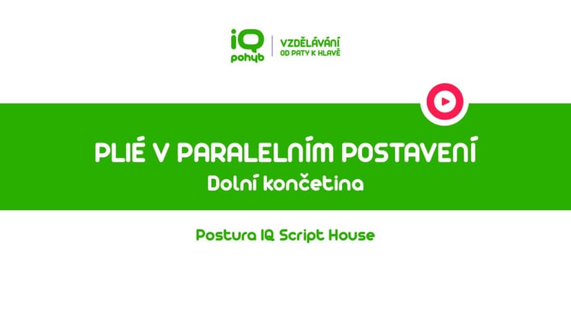 Postura - Dolní končetina - Plié v paralelním postavení dolních končetin