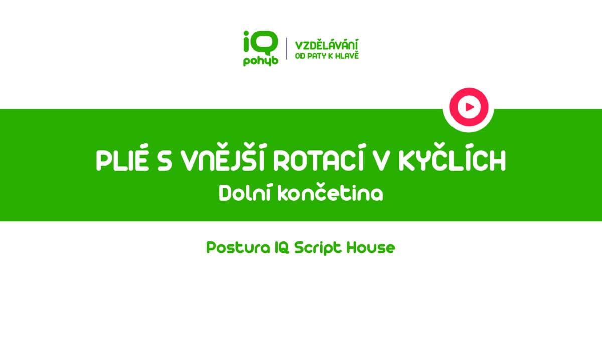 Postura - Dolní končetina - Plié s vnější rotací v kyčelních kloubech