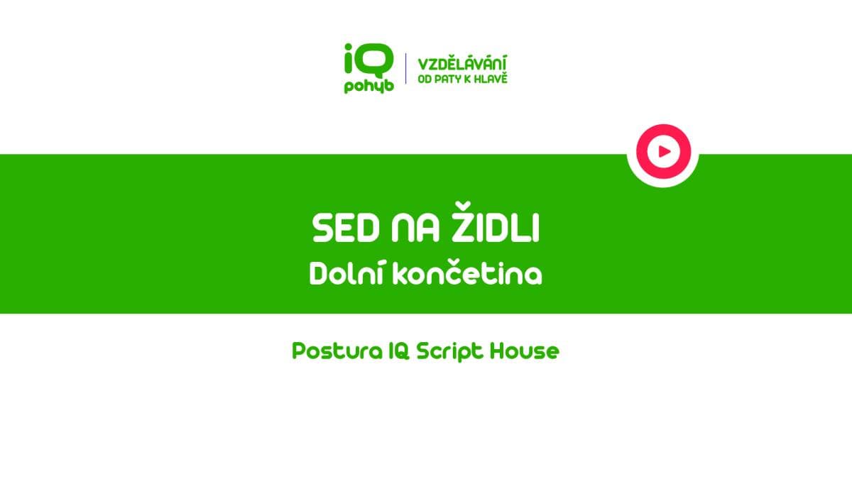 Postura - Dolní končetina - Sed na židli