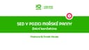Postura - Dolní končetina - Sed v pozici Mořské panny