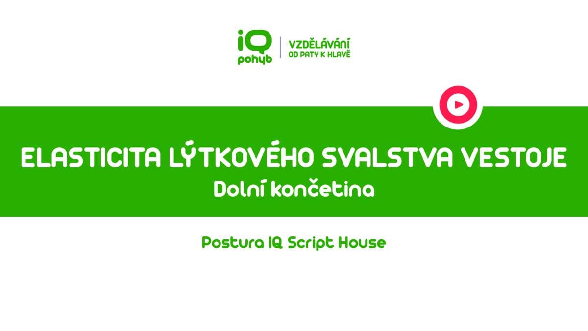 Postura - Dolní končetina - Elasticita lýtkového svalstva vestoje v náklonu vpřed