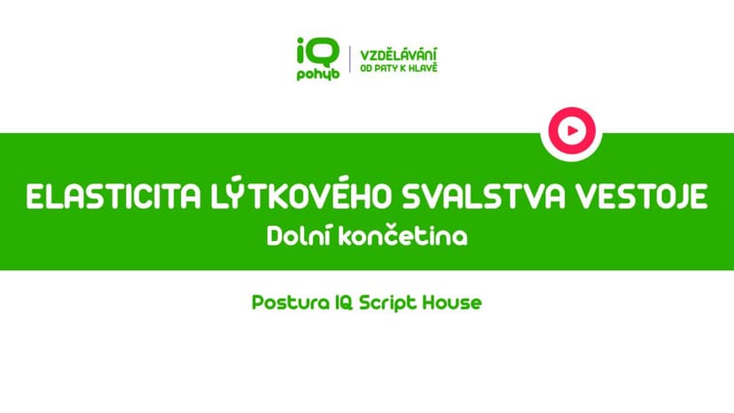 Postura - Dolní končetina - Elasticita lýtkového svalstva vestoje v náklonu vpřed