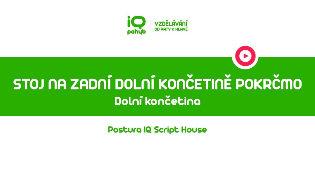 Postura - Dolní končetina - Stoj na zadní dolní končetině pokrčmo s náklonem trupu vpřed
