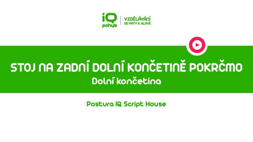 Postura - Dolní končetina - Stoj na zadní dolní končetině pokrčmo s náklonem trupu vpřed