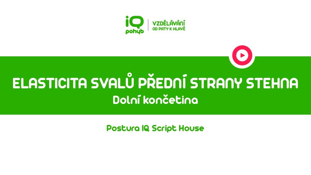 Postura - Dolní končetina - Elasticita svalů přední strany stehna vestoje na dolní končetině