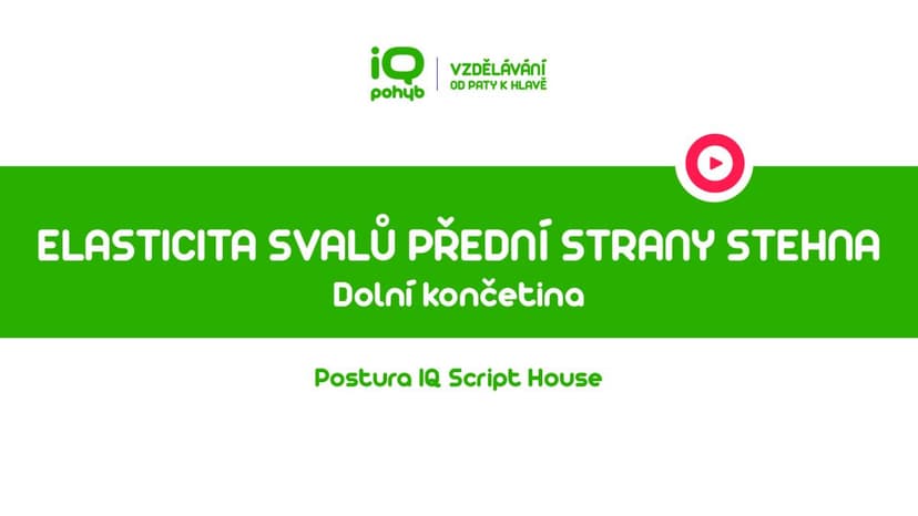 Postura - Dolní končetina - Elasticita svalů přední strany stehna vestoje na dolní končetině