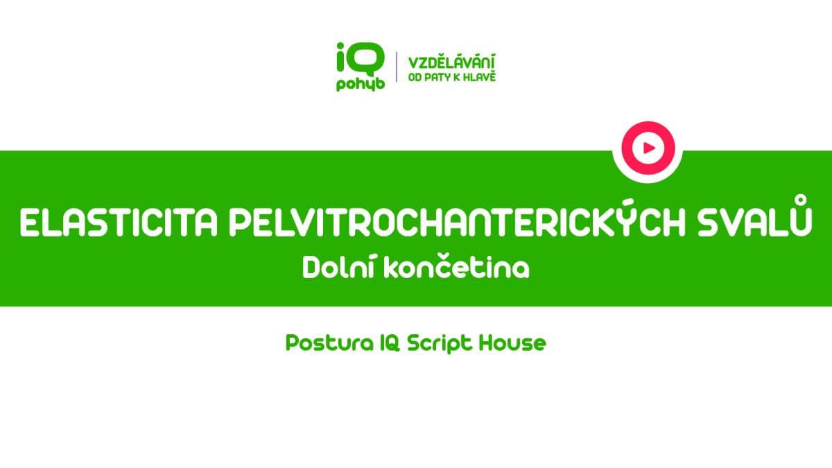 Postura - Dolní končetina - Elasticita pelvitrochanterických svalů vsedě – poloviční kráva