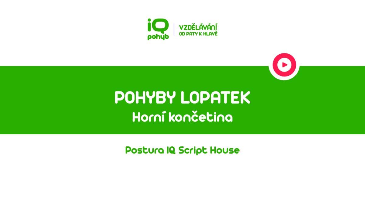 Postura - Horní končetina - Pohyby lopatek
