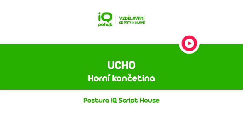 Postura - Horní končetina - Ucho