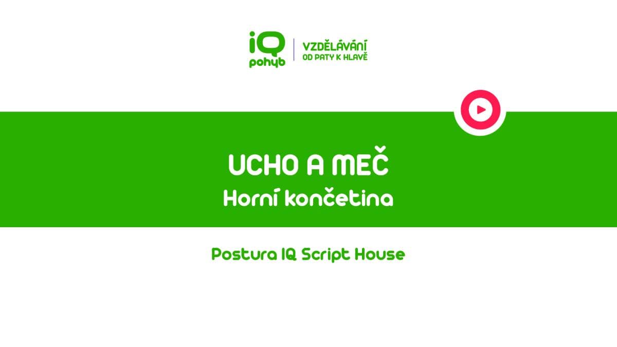 Postura - Horní končetina - Ucho a meč asymetrie ve svalové smyčce