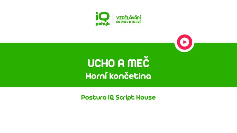 Postura - Horní končetina - Ucho a meč asymetrie ve svalové smyčce