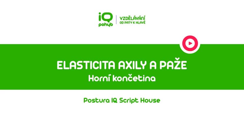  Postura - Horní končetina - Elasticita axily a paže