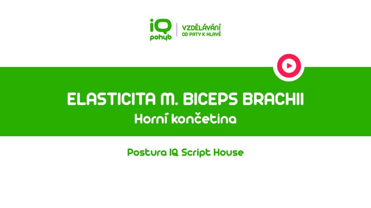  Postura - Horní končetina - Elasticita m. biceps brachii a supinátorů paže