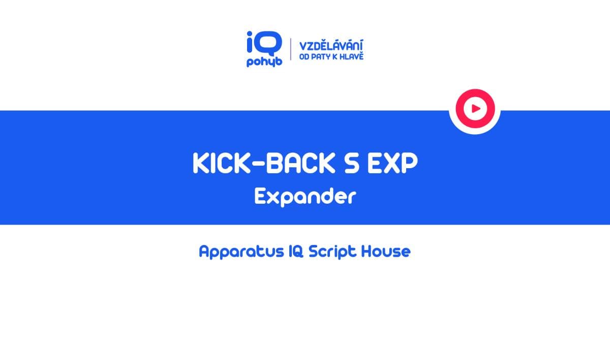 Expander - Extenze v loketním kloubu s náklonem vpřed v podřepu / Kick – Back
