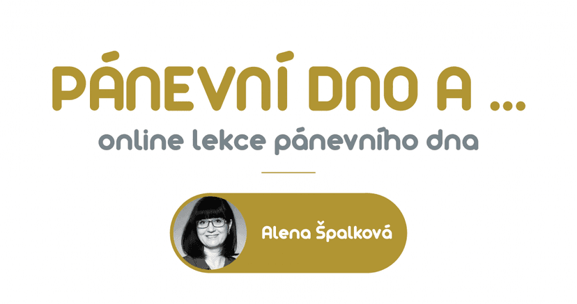 kyčelní kloub - B2 - č.807
