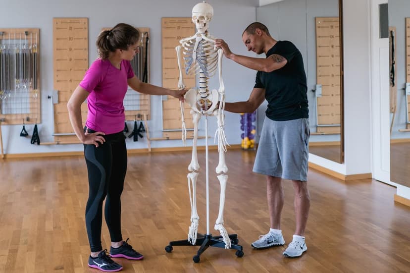 Náskok v rekvalifikaci se počítá - anatomické směry, roviny