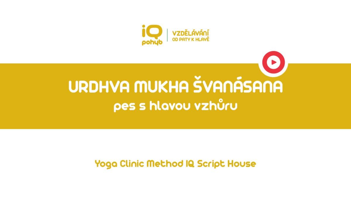 Yoga Clinic Method - Urdhva Mukha Švanásana - pes hlavou vzhůru