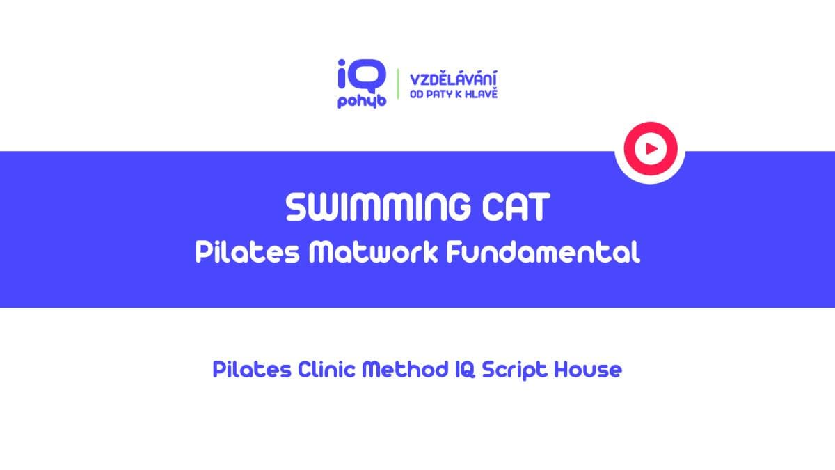 Pilates Clinic Method - Matwork - Swimming Cat
